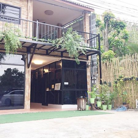 Bambusa Nakhon Ratchasima Luaran gambar