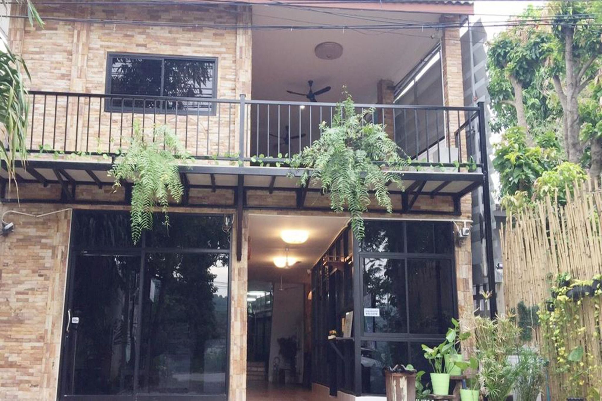 Bambusa Nakhon Ratchasima Luaran gambar