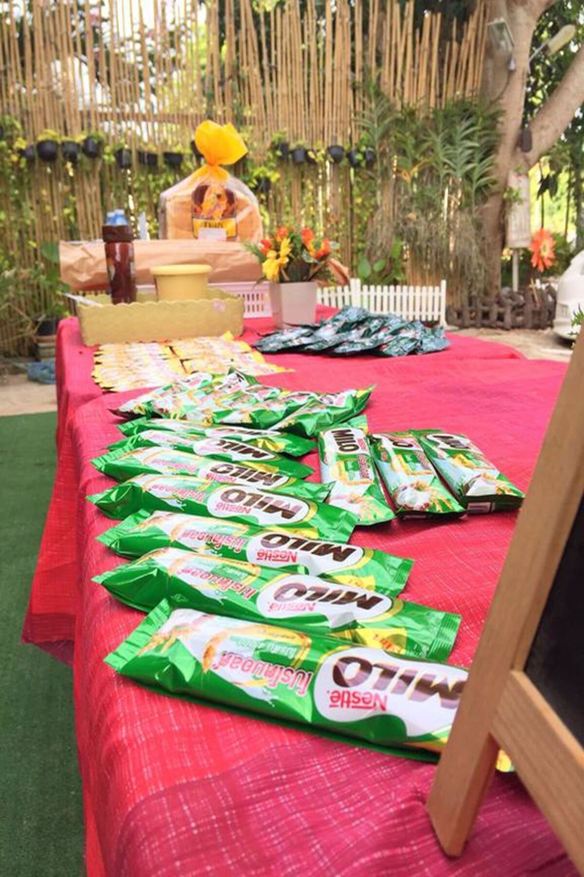 Bambusa Nakhon Ratchasima Luaran gambar